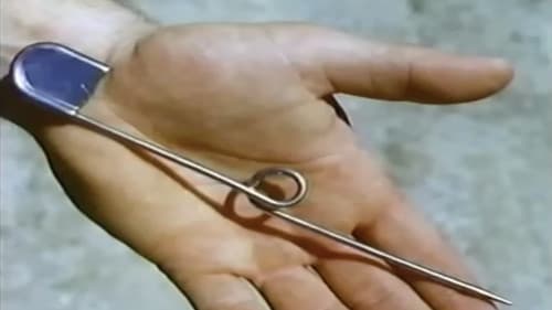 Surviving Edged Weapons Bild 2