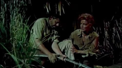 Treffpunkt Honduras Bild 1