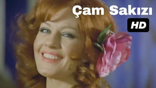 Çam Sakızı Bild 2