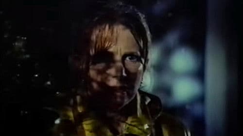 Home for the Holidays Bild 7