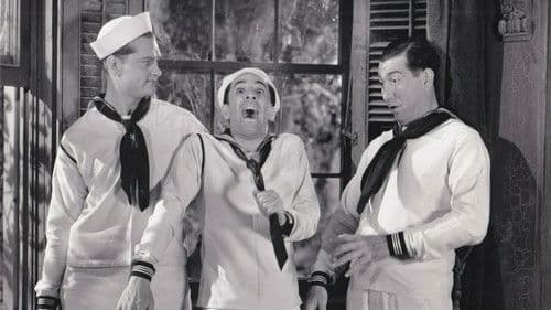 Trubel in Panama Bild 2