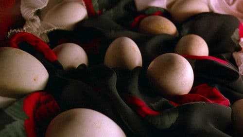 Amy und die Wildgänse Bild 8