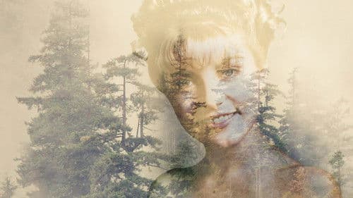 Twin Peaks Bild 3