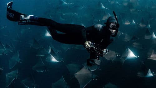 Deep Dive North America Bild 2