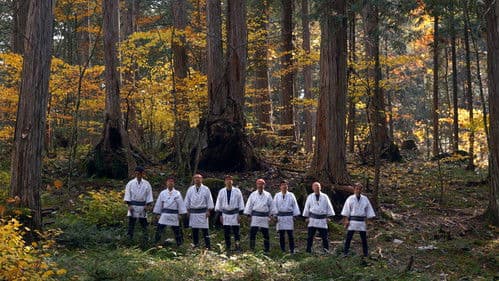 うみやまあひだ 伊勢神宮の森から響くメッセージ Bild 4