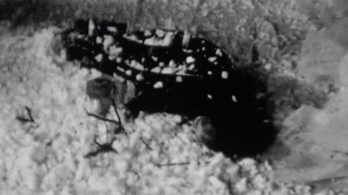 Spring and Winter Bild 1