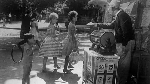 Der Sonne entgegen Bild 2