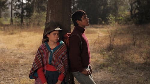 Extirpador de Idolatrias Bild 3