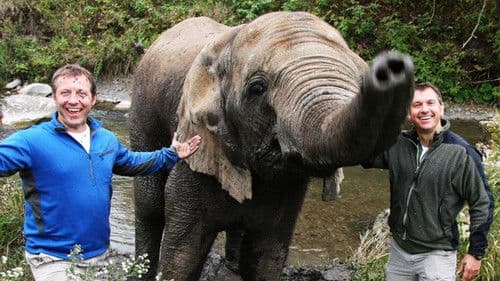 Kratts' Creatures Bild 1