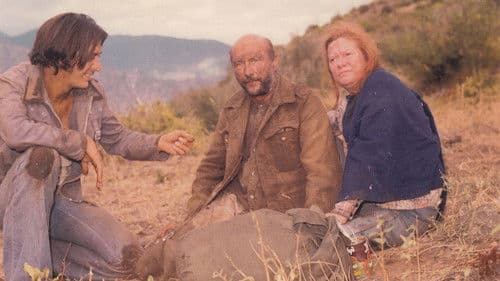 The Rainbow Boys Bild 1