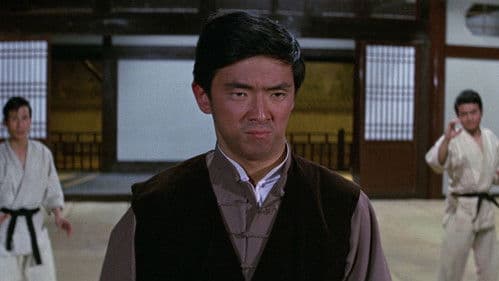 Eine Faust wie ein Hammer Bild 3