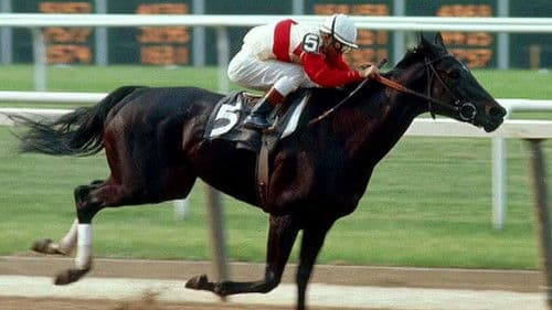 Ruffian - Die Wunderstute Bild 1