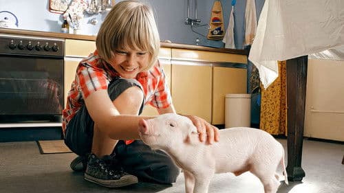 Rennschwein Rudi Rüssel Bild 2