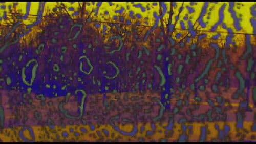 Joose Psychedelia Test Bild 4