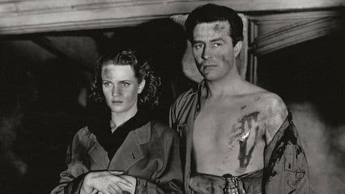 Till We Meet Again Bild 2