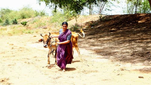 லெனின் பாண்டியன் Bild 5