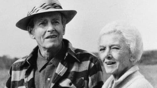 Summer Solstice Bild 1