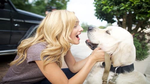 Love for All Seasons Bild 1