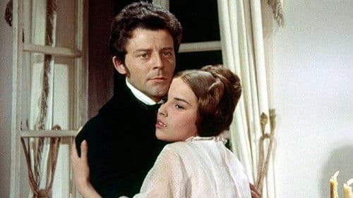 Rot und Schwarz Bild 4