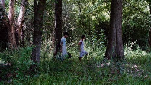 Las Posibilidades de una Isla Bild 4