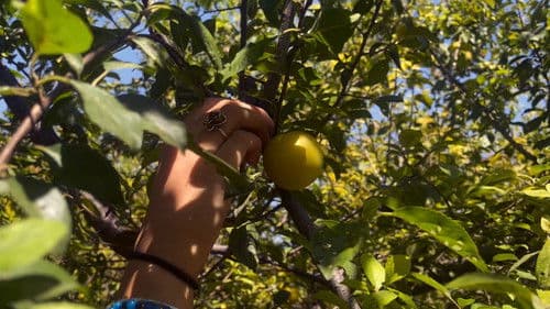 Crossroads - Decisions for Life Bild 1