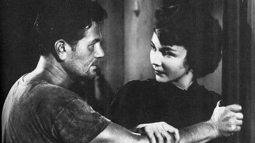 Wir waren uns fremd Bild 1