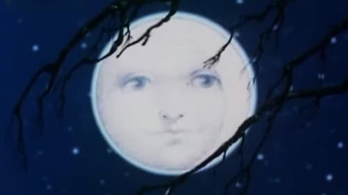 Svatební košile Bild 1