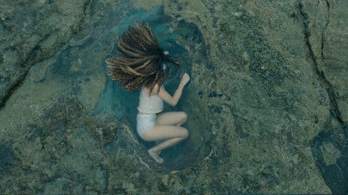 La piel pulpo Bild 2