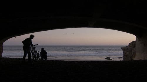 Deleting Daisy Petal Bild 1