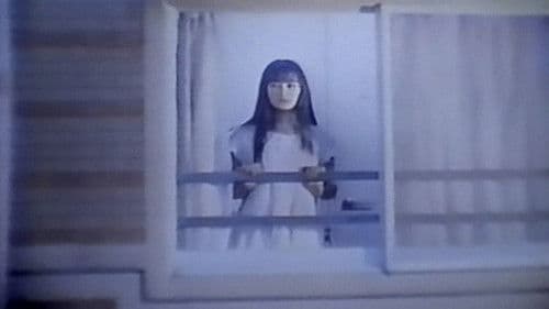 Meet Me in the Dream: Wonderland Bild 5