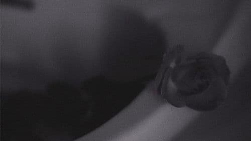 Triaden des Kusses Bild 4