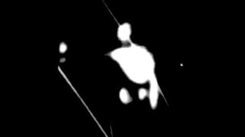 Monkeyshines, No. 1 Bild 1