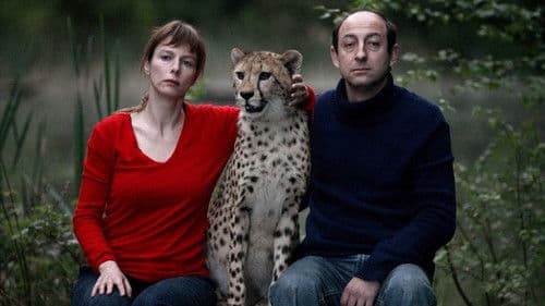 La Tête de maman Bild 4