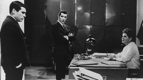 Rapazes de Táxis Bild 1