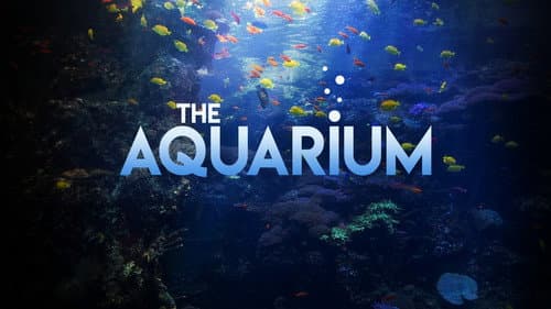 Das Atlanta-Aquarium Bild 3
