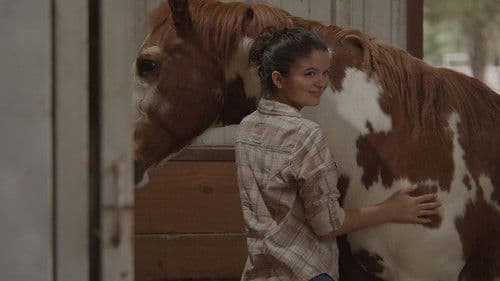 Charlies Pferd - Das Herz eines Champions Bild 2