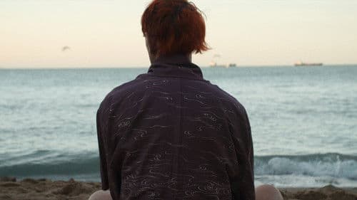 Howls to the Harbour Bild 1