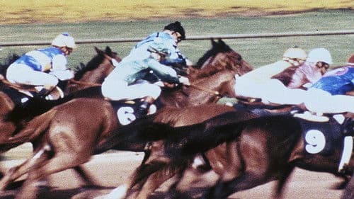 The Bluegrass Special Bild 1