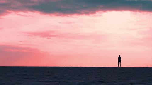 Scavenger - Wie die Ratten Bild 1