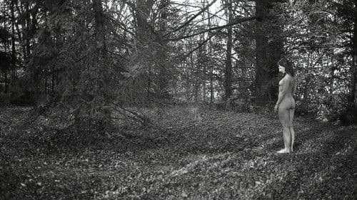 Tandis que je respire encore Bild 2