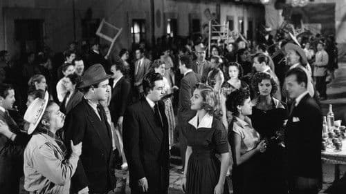 Die Illusion fährt mit der Straßenbahn Bild 7