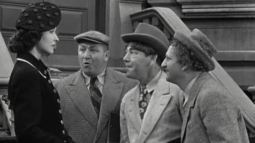 No Census, No Feeling Bild 1