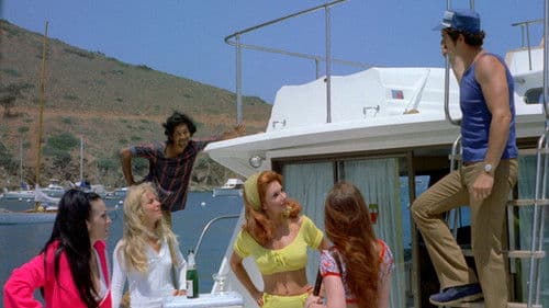 Das Kommando der Frauen Bild 3