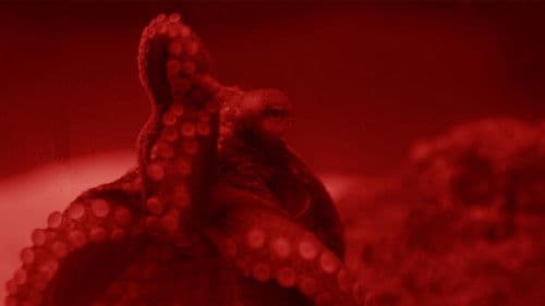 Futuro Futuro Bild 4