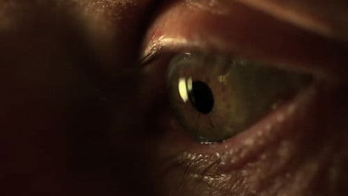 Life's Odyssey Bild 1