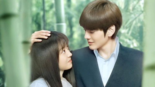 淑女飘飘拳 Bild 2