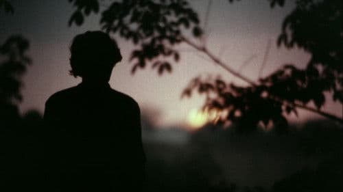 പോക്കുവെയിൽ Bild 5