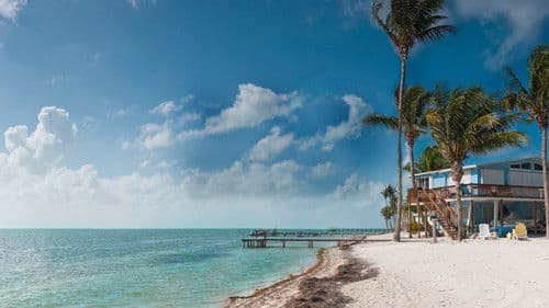 Big Beach Builds Bild 3