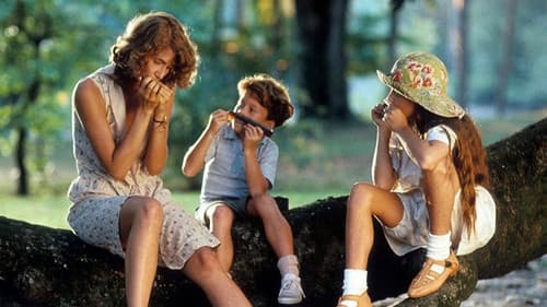 Die Lust der schönen Rose Bild 8