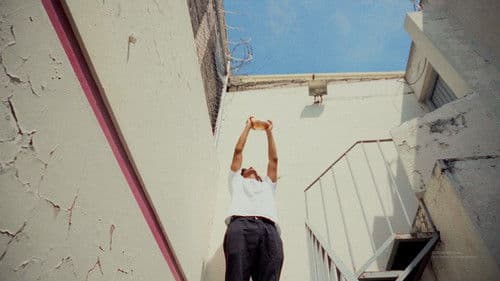 Cómo descongelar un pollo en 5 minutos Bild 1